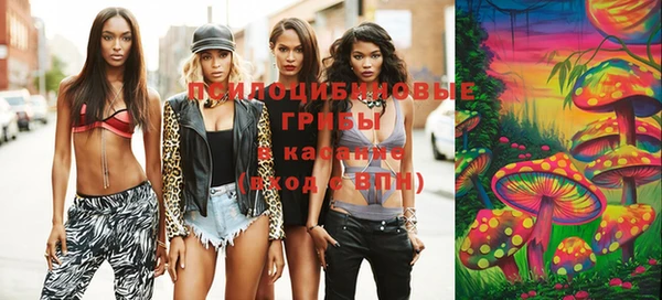 apvp Анжеро-Судженск
