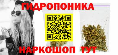 бошки Гай