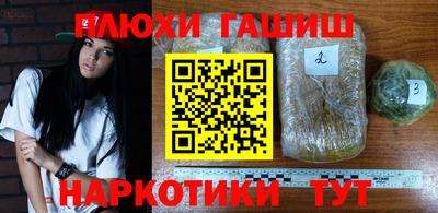 бошки Гай