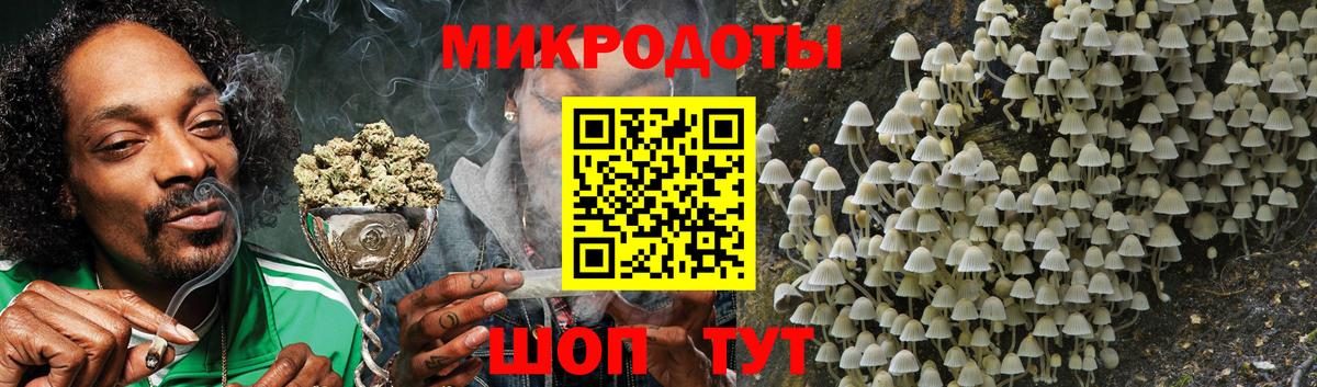 Псилоцибиновые грибы Psilocybe Северск