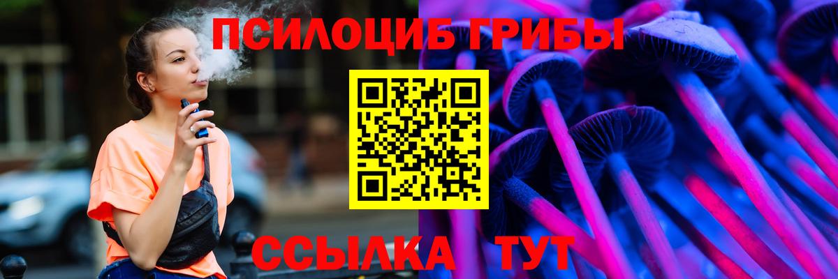 Псилоцибиновые грибы GOLDEN TEACHER  Северск  купить наркотик  Галлюциногенные грибы мицелий 